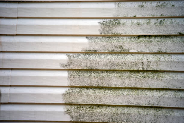 Best Hoarding Cleanup  in Amelia, LA